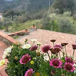 Il Grottino Di Tatil Evi